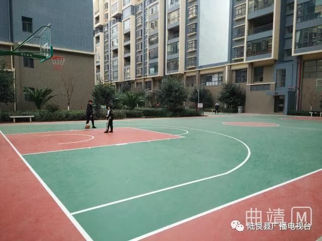 欧洲杯官方网站同乐街道首块硅PU篮球场在龙园小区建成正式投入使用